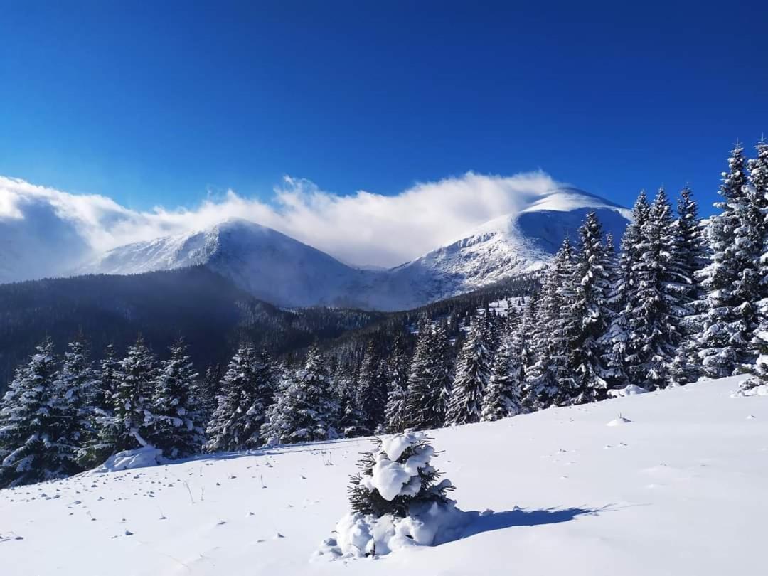 Кришталеві Вершини Villa Vorochta Buitenkant foto