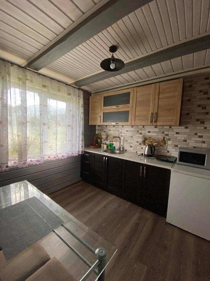 Кришталеві Вершини Villa Vorochta Buitenkant foto